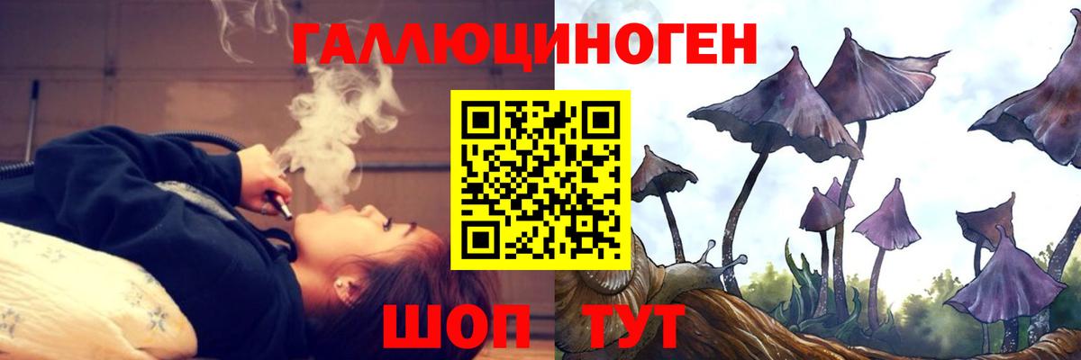 Артём  Галлюциногенные грибы мухоморы  Вход с VPN 